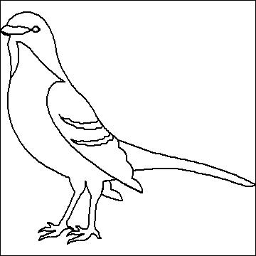 (image for) Mockingbird-L00073* - Click Image to Close